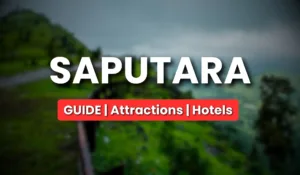 Saputara Guide