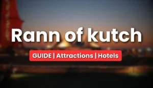 Rann of Kutch Guide